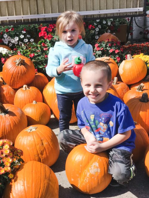 kids in pumpkin patch